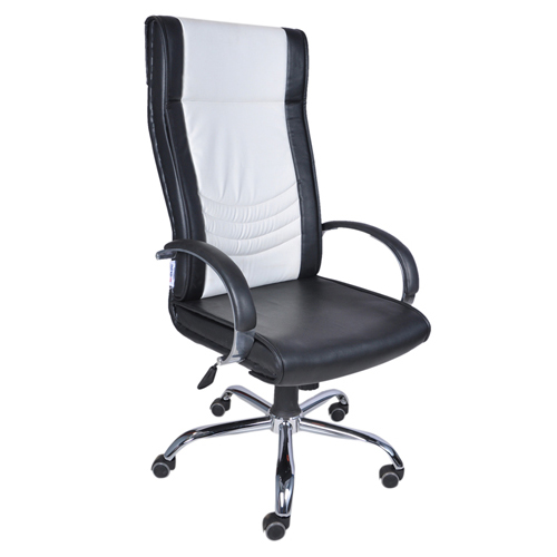 Executive Chair Suppliers in Mumbai